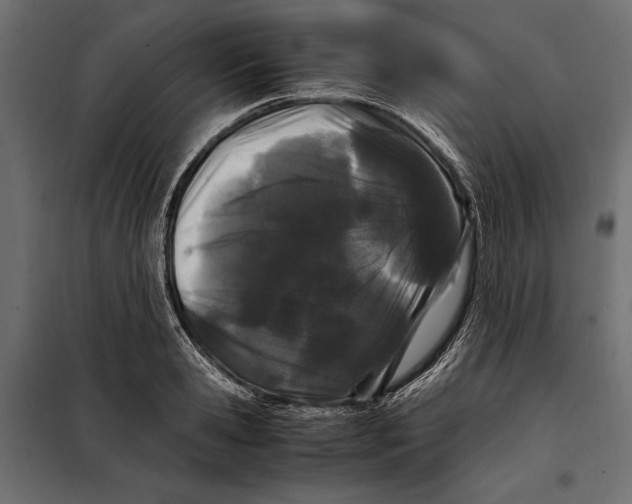 X0000098080941200804251510