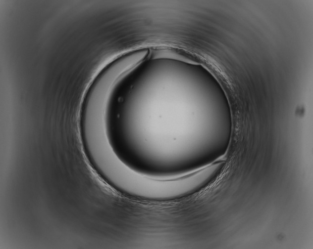 X0000098080942200804251510