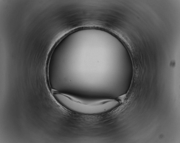 X0000098080943200804251510