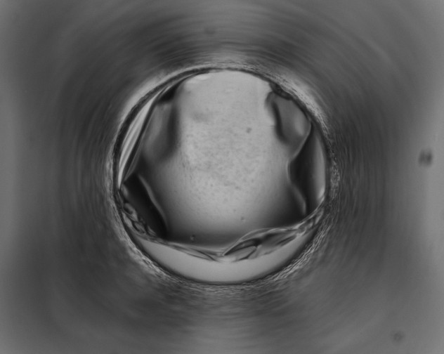 X0000098080944200804251510