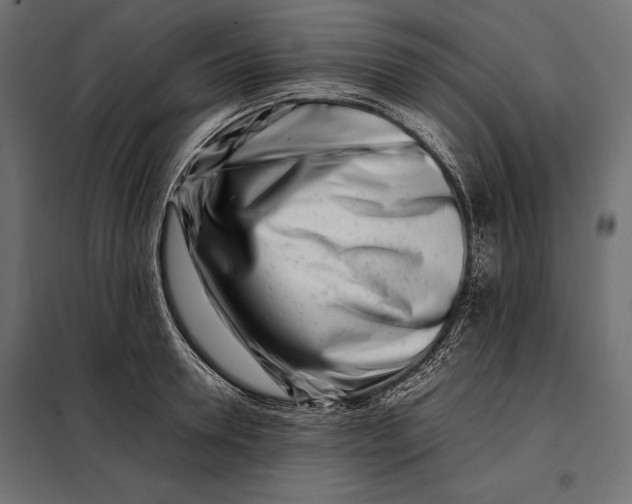 X0000098080946200804251510