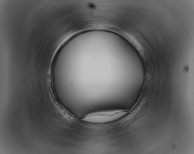 X0000098080948200804251510