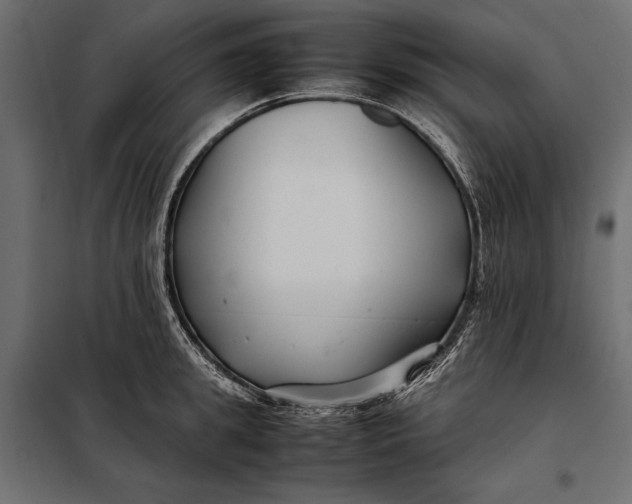 X0000098080949200804251510