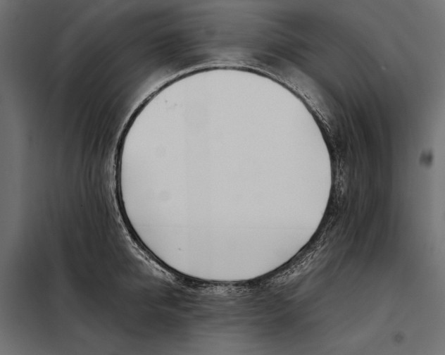 X0000098080950200804251510