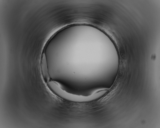 X0000098080951200804251510