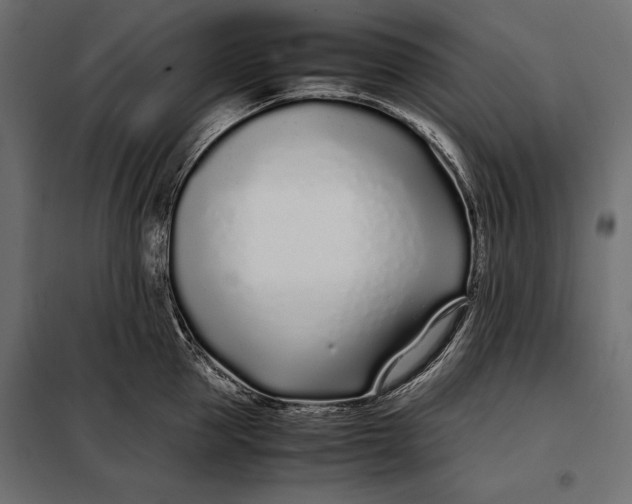 X0000098080953200804251510