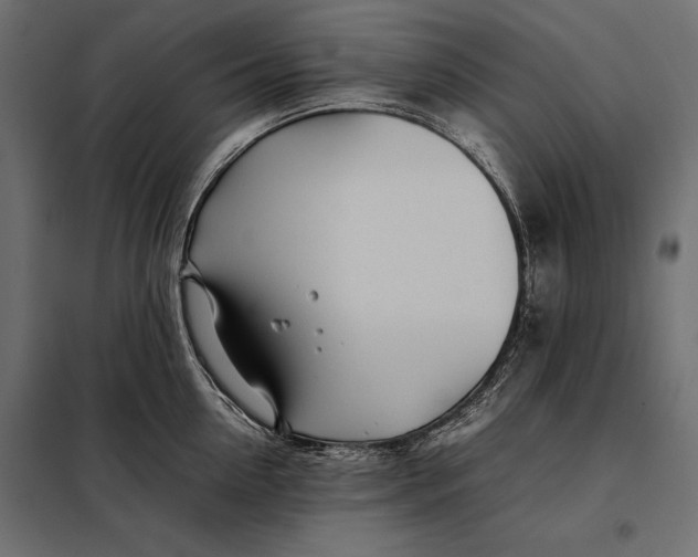 X0000098080954200804251510