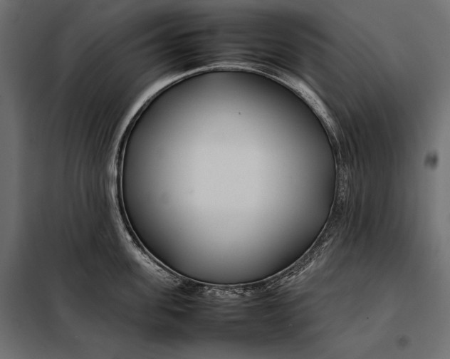 X0000098080955200804251510