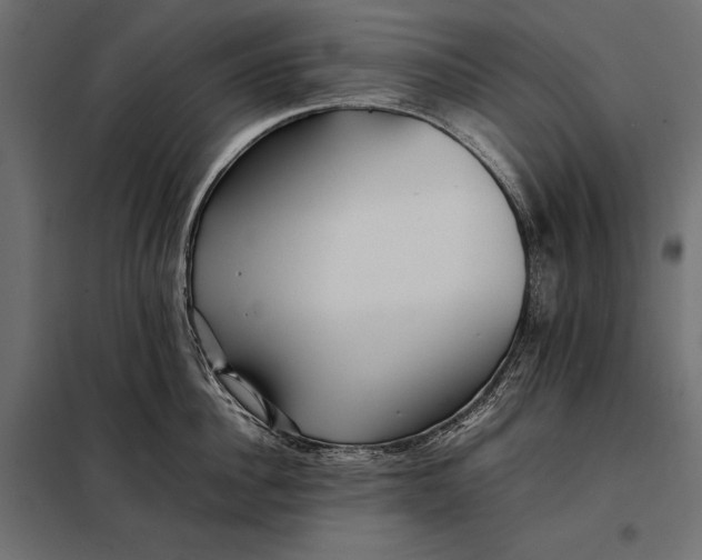 X0000098080956200804251510