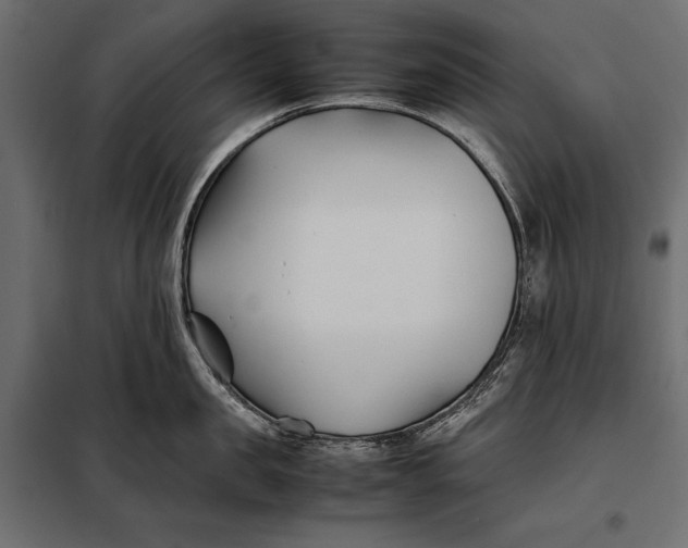 X0000098080957200804251510