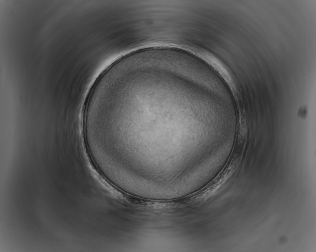 X0000098080958200804251510