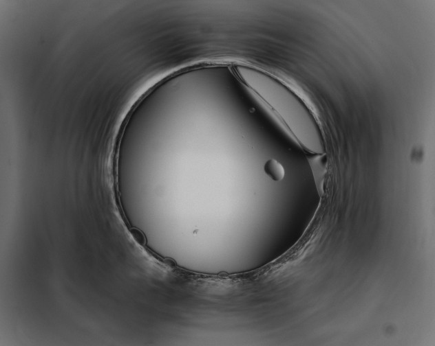 X0000098080959200804251510