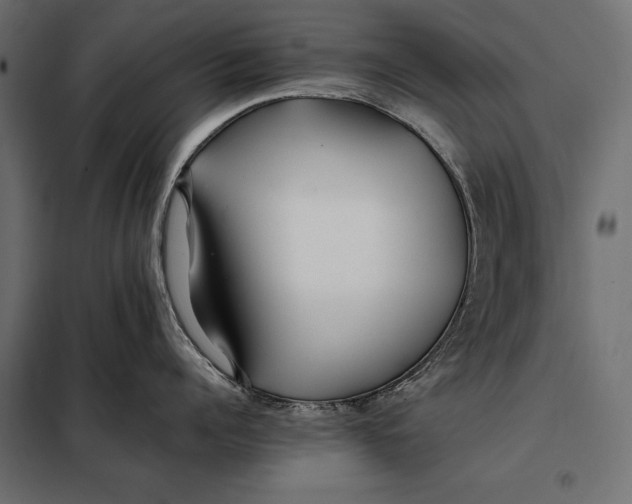 X0000098080960200804251510