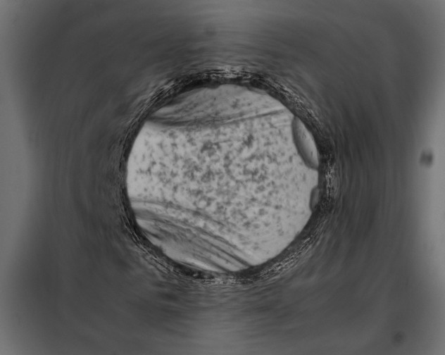 X0000098080961200804251509