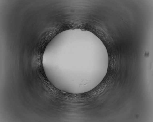 X0000098080962200804251509