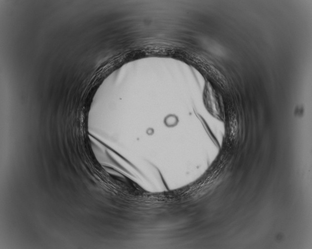 X0000098080964200804251509