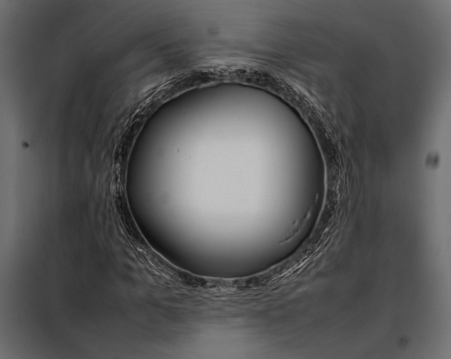 X0000098080965200804251509