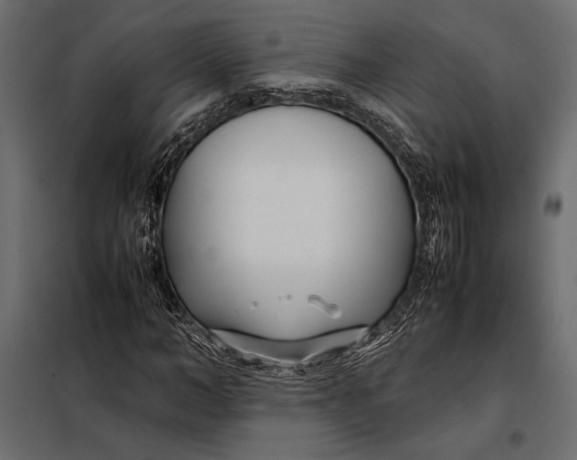 X0000098080966200804251509