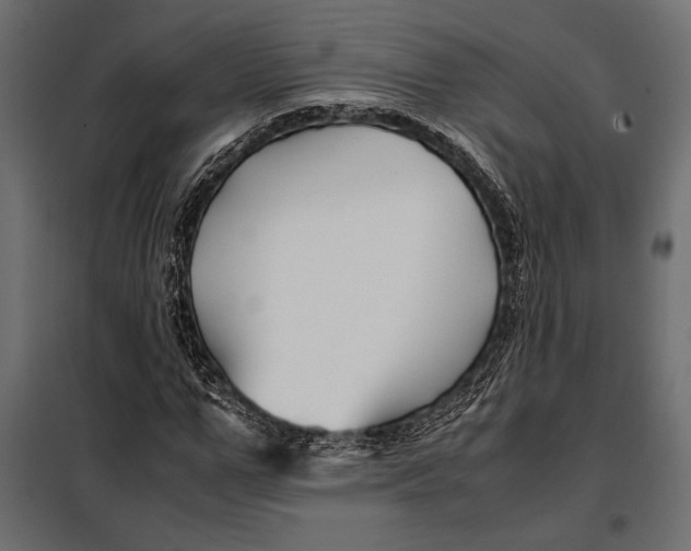 X0000098080967200804251509