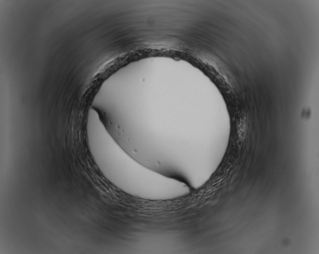 X0000098080968200804251509