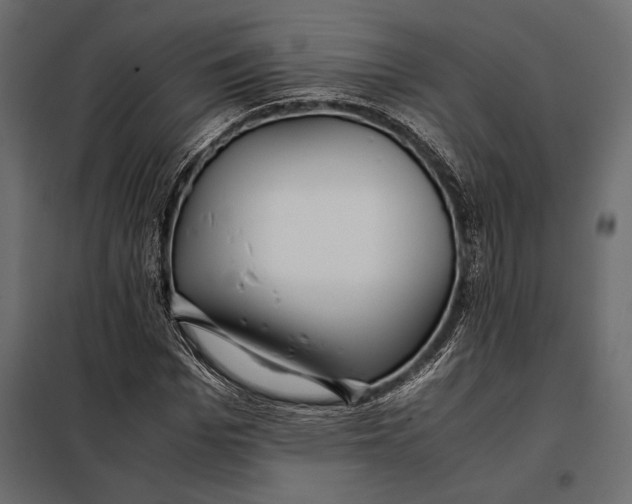 X0000098080969200804251509