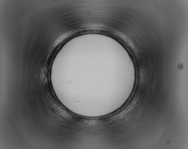 X0000098080970200804251509