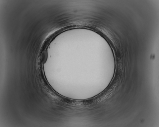 X0000098080971200804251509