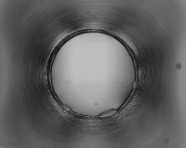 X0000098080972200804251509