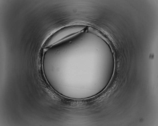 X0000098080973200804251509