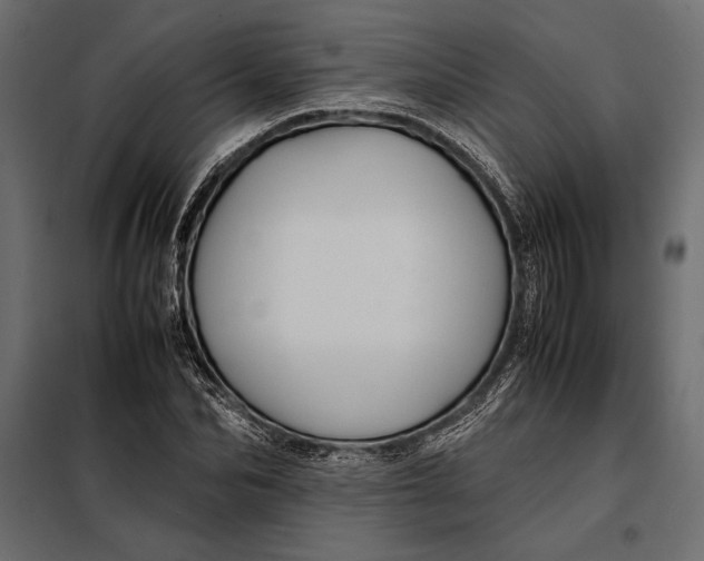 X0000098080974200804251509