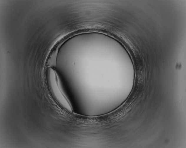 X0000098080975200804251509