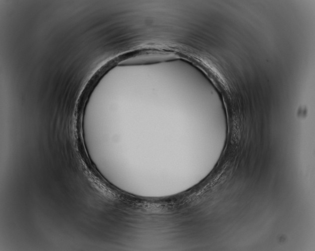 X0000098080976200804251509