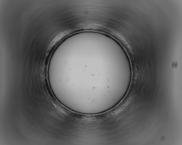 X0000098080978200804251509