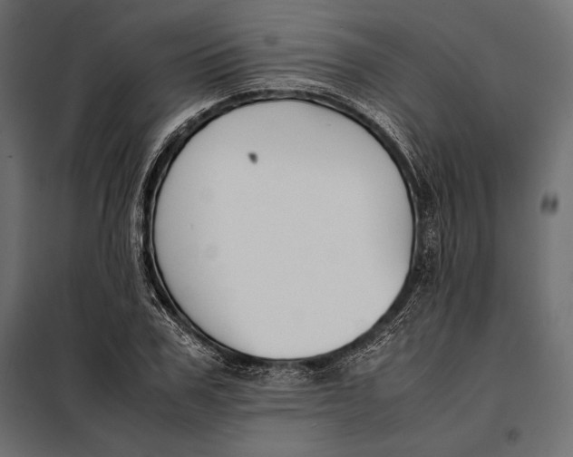 X0000098080979200804251509