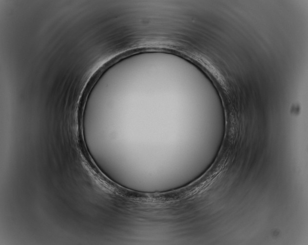 X0000098080980200804251509