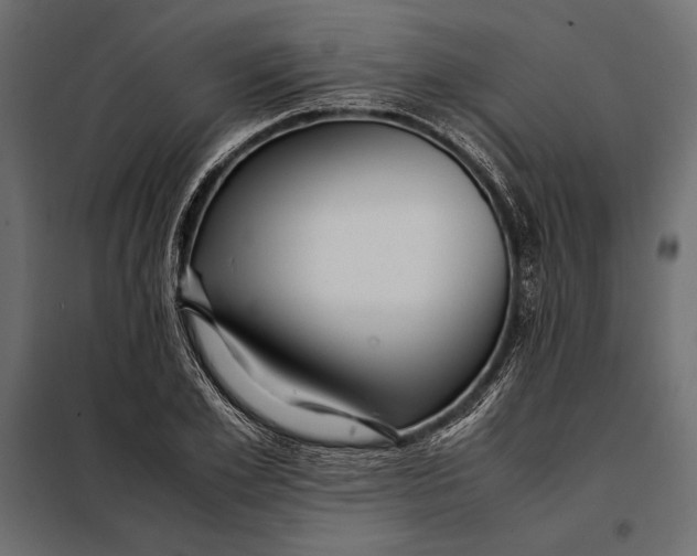 X0000098080981200804251509