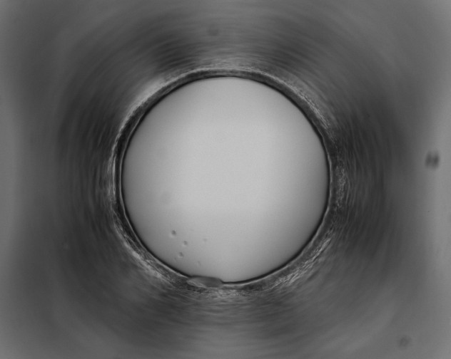 X0000098080982200804251509