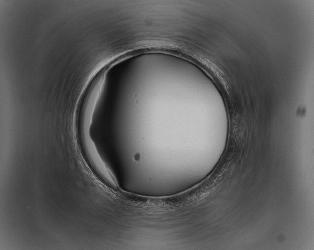 X0000098080983200804251509