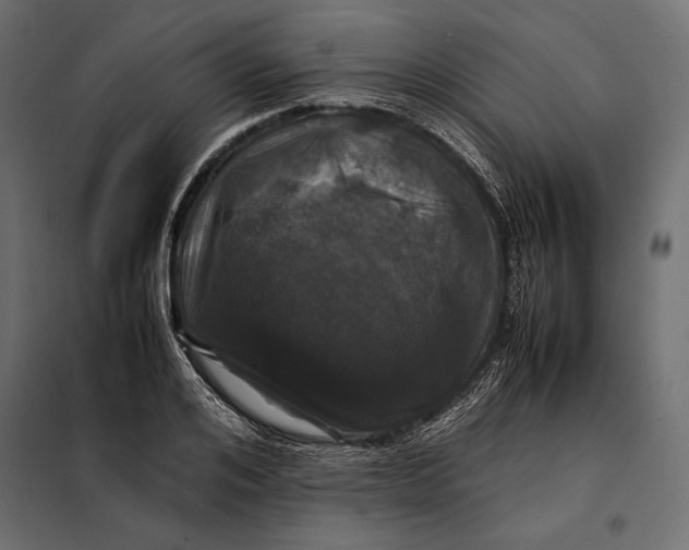 X0000098080984200804251509