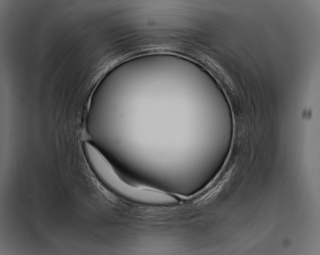 X0000098080985200804251509