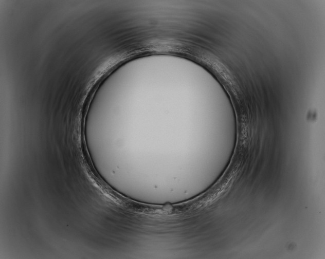 X0000098080986200804251509