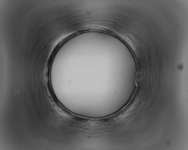 X0000098080987200804251509