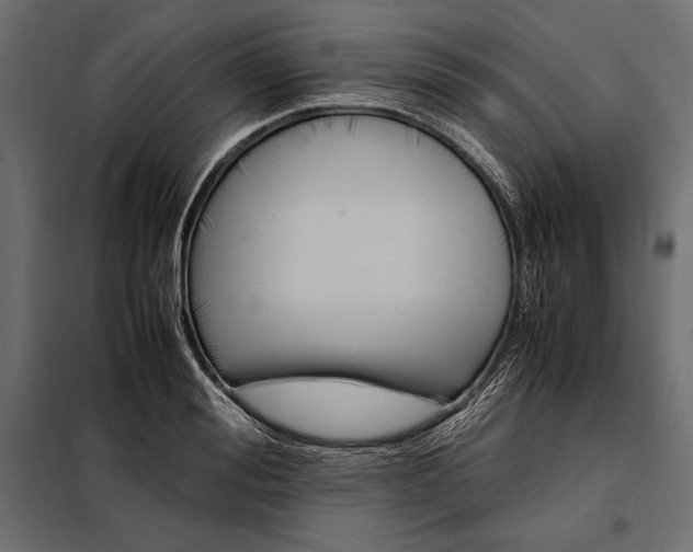 X0000098080988200804251509