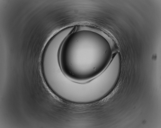 X0000098080989200804251509