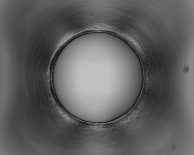 X0000098080990200804251509