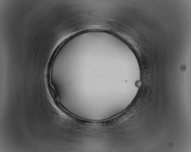 X0000098080991200804251509