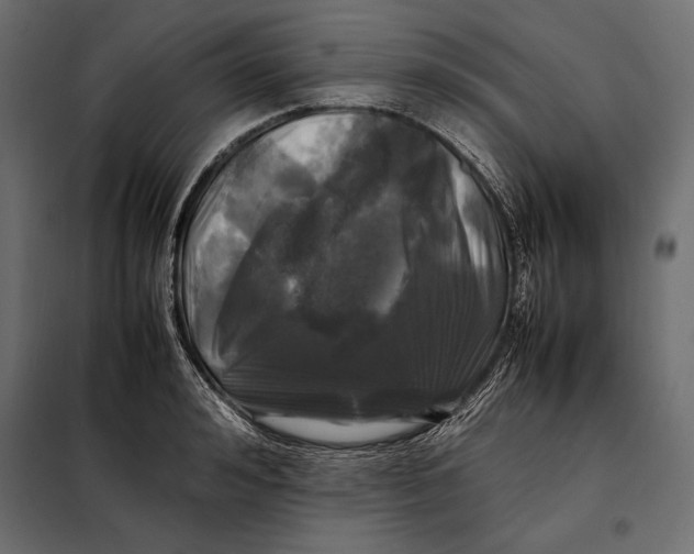 X0000098080992200804251509