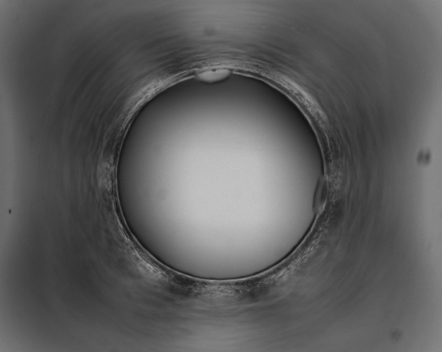 X0000098080993200804251509