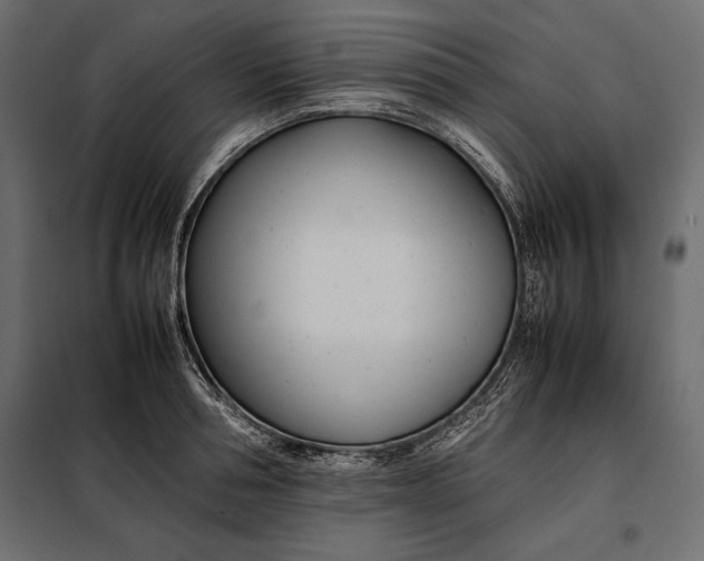 X0000098080994200804251509