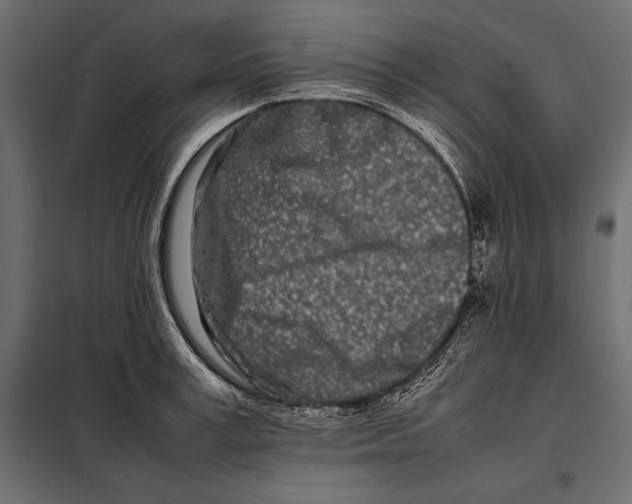 X0000098080995200804251509